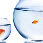 Top 10 Reasons You're Playing Small