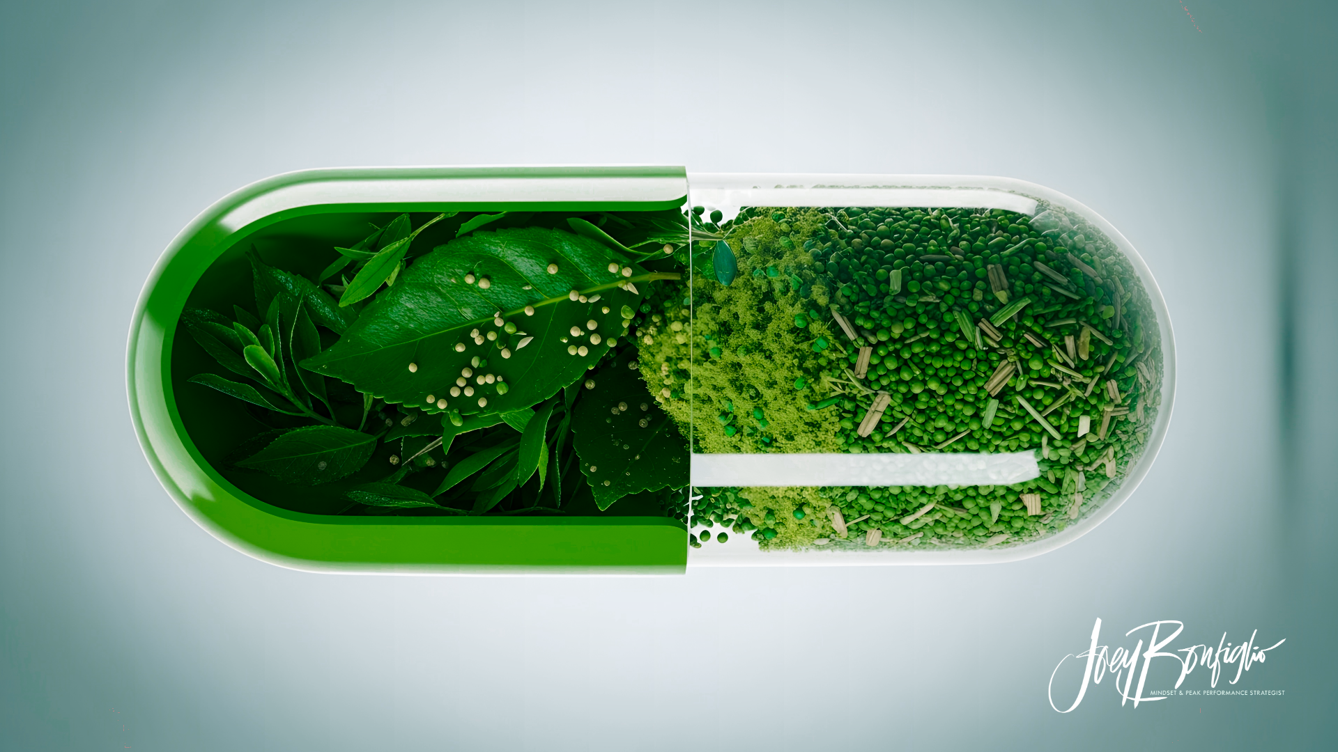 What is Terrain Theory?