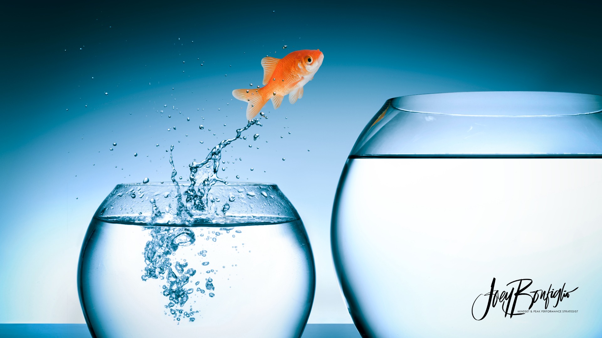 The Law of Reversibility